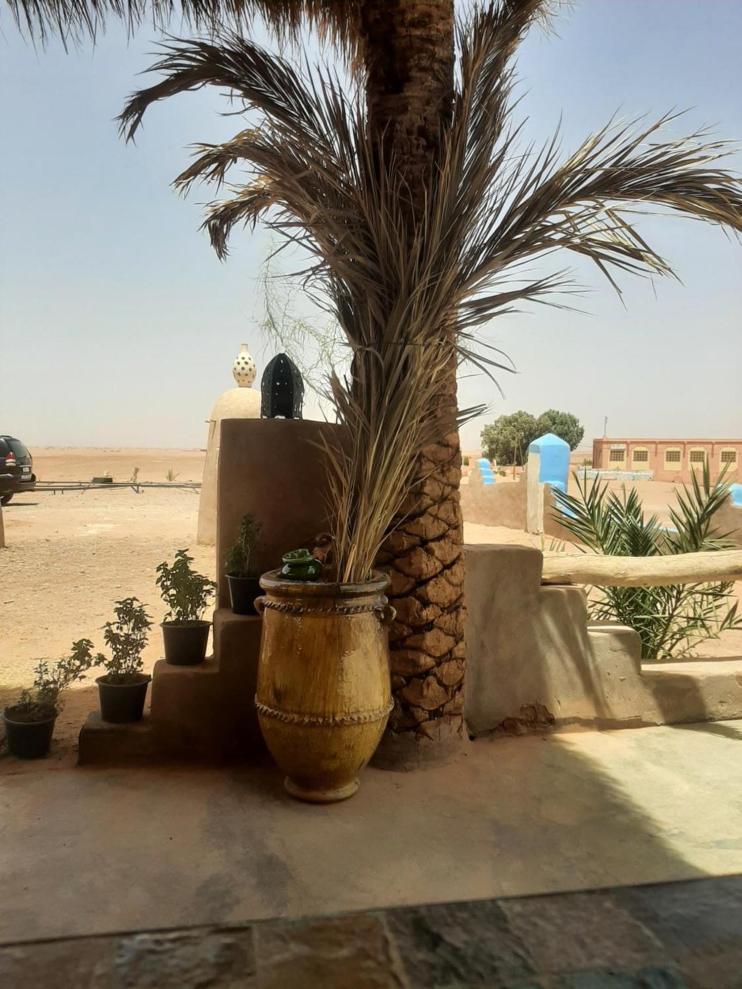 Auberge Kasbah Dar Sahara Tours M'Hamid Eksteriør bilde